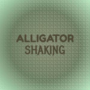 Listen to Alligator Shaking song with lyrics from Alaa Shono