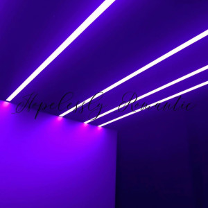 Listen to Hopelessly Romantic (Explicit) song with lyrics from HilL