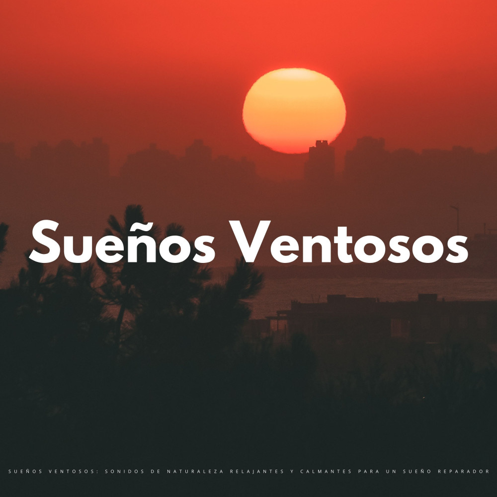 Borrador De Sueños