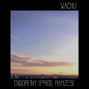 Album Endorfiny from 