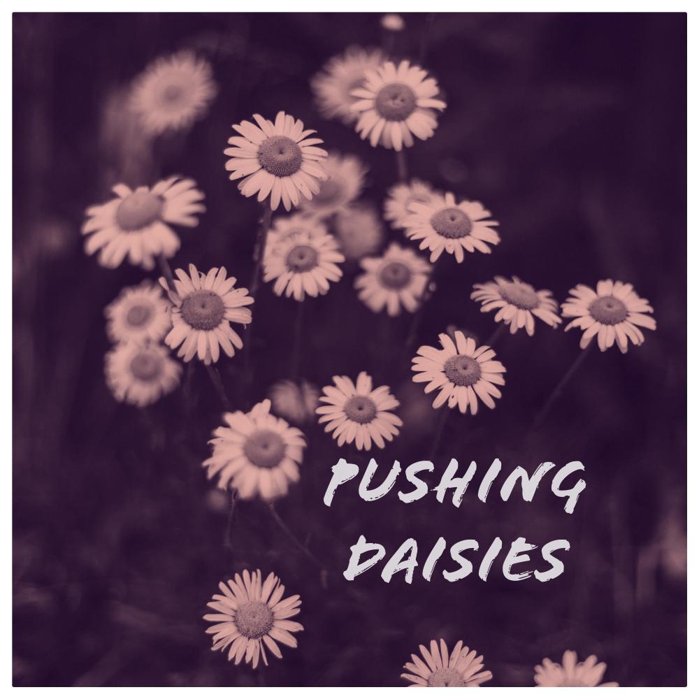 Pushing Daisies