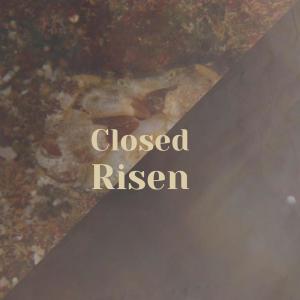 Listen to Closed Risen song with lyrics from Joran Bahman