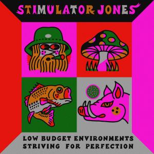 Stimulator Jones的專輯Low Budget Environments Striving For Perfection