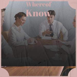 Listen to Themselves Haven song with lyrics from Ranoe Charls