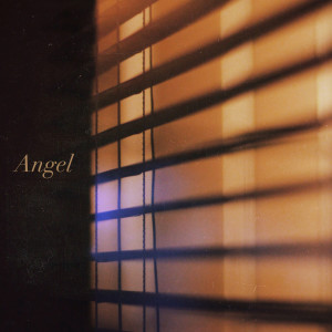 Album Angel from Sean Bolton
