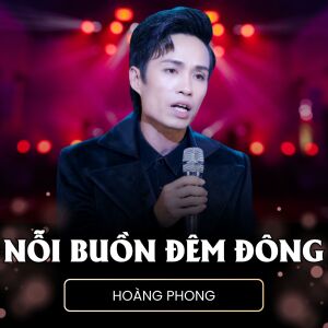 Hoàng Phong的专辑Nỗi Buồn Đêm Đông
