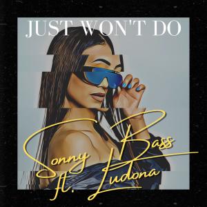 Sonny Bass的专辑Just won't do