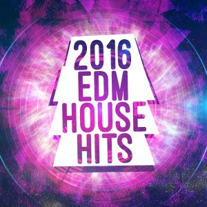 EDM House Hits的專輯2016 EDM House Hits