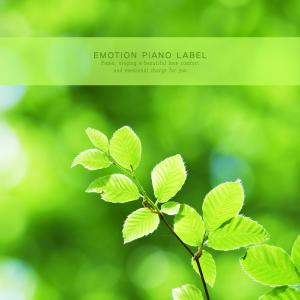 Album Newly-born New Year's Eve (Piano) from Various Artists