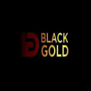 Listen to I Luh This Shxt Blud(feat. Lee Roy Lyrical, Uncle Ray & S-Teg SA) song with lyrics from Black Gold