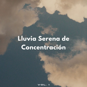 Album Lluvia Serena De Concentración Vol. 1 oleh Concentracion