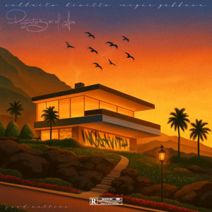 Listen to Pajaritos En El Aire RMX (Explicit) song with lyrics from Kinito