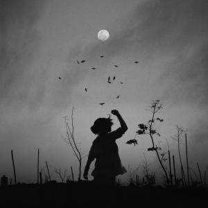 Listen to flying song with lyrics from itsokaylove