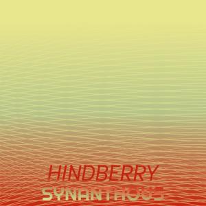 Album Hindberry Synanthous oleh Various