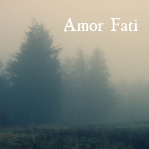 ดาวน์โหลดและฟังเพลง Amor Fati พร้อมเนื้อเพลงจาก Plained