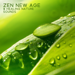 Album Zen New Age & Healing Nature Sounds (Relaxation Therapy Music for Massage, Spa, Meditation, Reiki, Yoga, Sleep and Study) from Deep Visualization Zen
