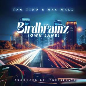 Tno Tino的專輯Birdbrainz (Own Lane) [Explicit]