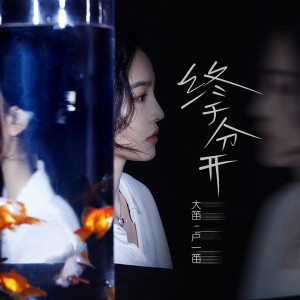 Listen to 终于分开 (伴奏) song with lyrics from 大笛 (卢一笛)