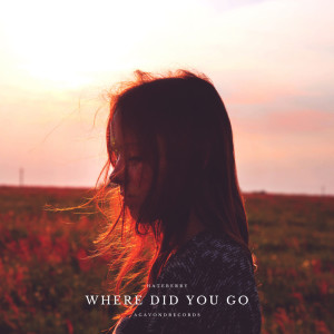 收听HateBerry的Where Did You Go歌词歌曲