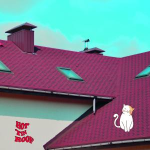 Dxnaldtrvp的專輯Hot tin roof