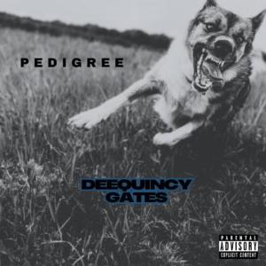 DeeQuincy Gates的專輯Pedigree (Explicit)