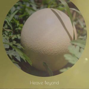 Album Heave Beyond from Various