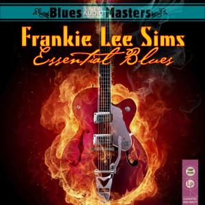 ดาวน์โหลดและฟังเพลง Well Goodbye Baby พร้อมเนื้อเพลงจาก Frankie Lee Sims