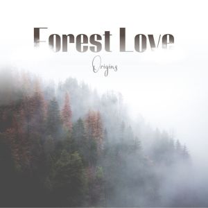 อัลบัม Forest Love ศิลปิน Origins