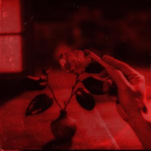 收聽SADBXIII的REFLECTIONS歌詞歌曲