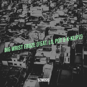Ozmosis的专辑Big Wrist Froze (Explicit)