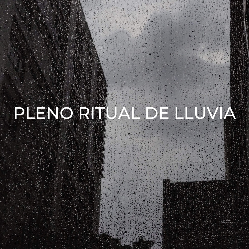 Meditación Y Lluvia