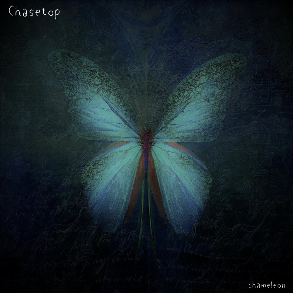 Chase top