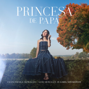 ดาวน์โหลดและฟังเพลง Princesa De Papá (Instrumental) พร้อมเนื้อเพลงจาก Luis Morales Jr.