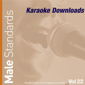 收聽Ameritz Karaoke Band的The Dance (In The Style Of Westlife)歌詞歌曲