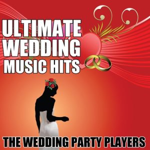 收聽The Wedding Party Players的A  Moment Like This歌詞歌曲