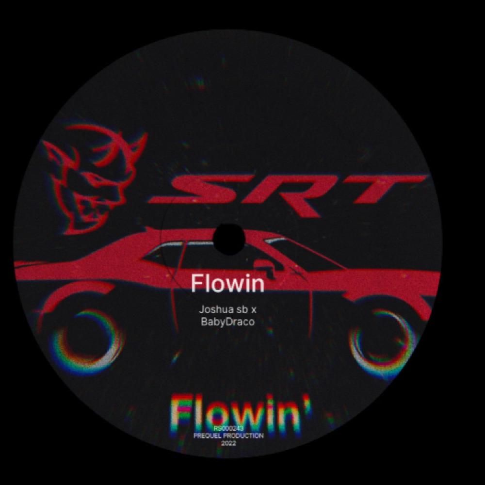 Flowin (feat. Babydracco) (Explicit)