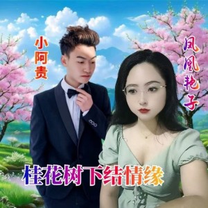 收听小阿贵的桂花树下结情缘 (伴奏)歌词歌曲