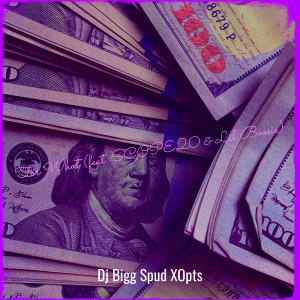 Listen to Why Lie (Explicit) song with lyrics from Dj Bigg Spud XOpts