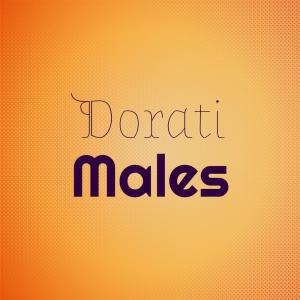 Various Artists的專輯Dorati Males