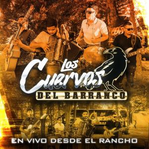 收聽Los Cuervos Del Barranco的La Gente Del Chapo歌詞歌曲