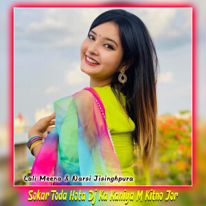 Lali Meena的專輯Sokar Toda Hota Dj Ka Kaniya M Kitno Jor