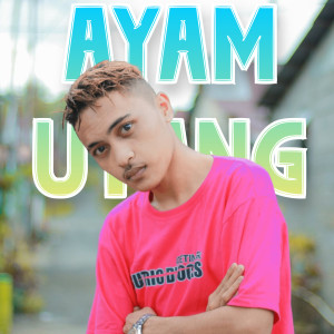 Dengarkan AYAM UTANG lagu dari SUTRIO D`JOCKS dengan lirik