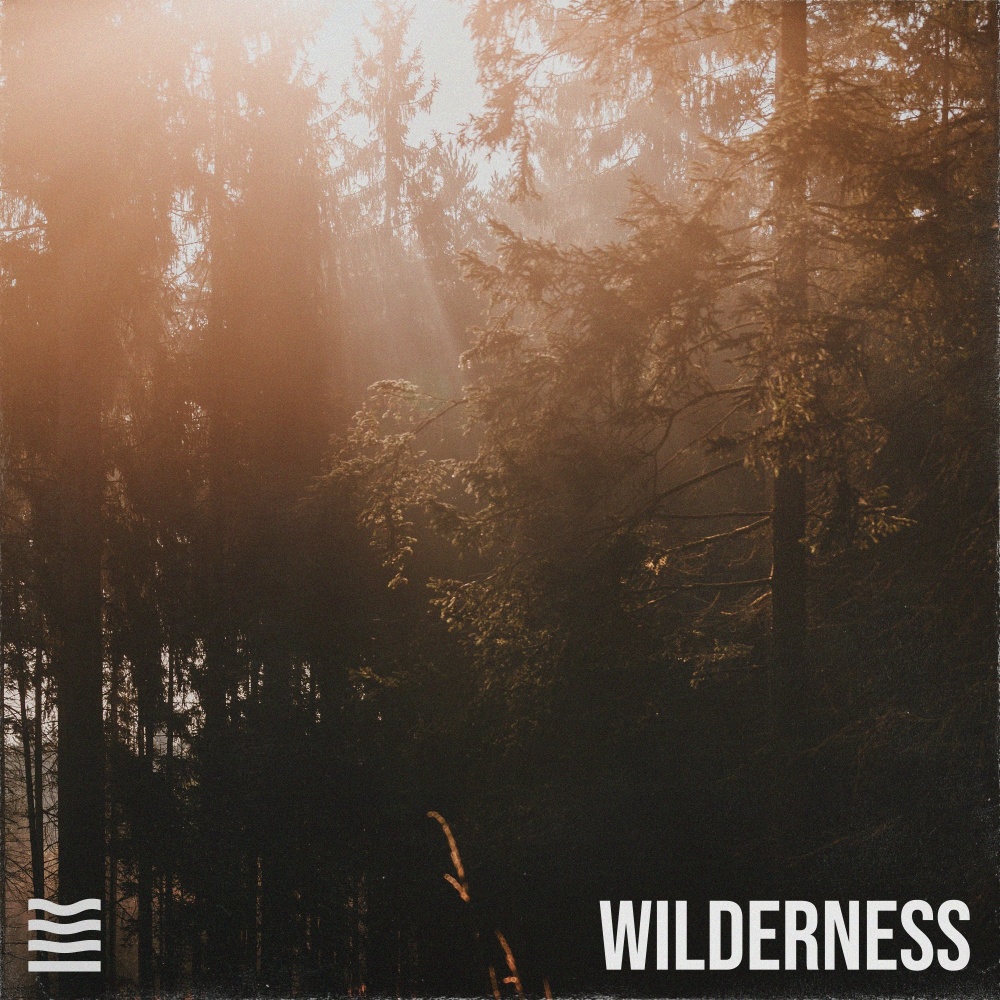 Wilderness