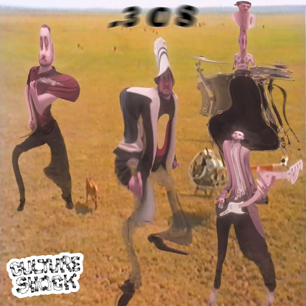 .308 (Explicit)