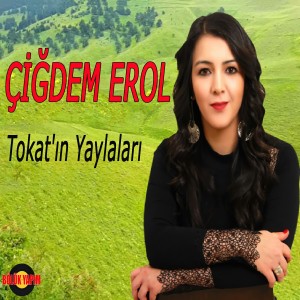 Dengarkan lagu Abum Abum nyanyian Çiğdem Erol dengan lirik