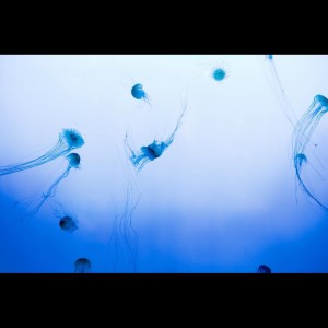 ดาวน์โหลดและฟังเพลง Music for Sleeping พร้อมเนื้อเพลงจาก Spa Music Relaxation