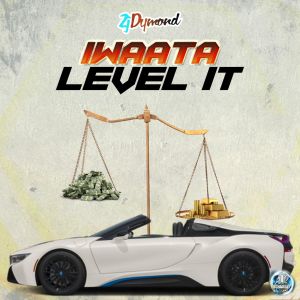 收聽Iwaata的Level It歌詞歌曲