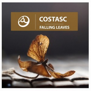 ดาวน์โหลดและฟังเพลง Falling Leaves พร้อมเนื้อเพลงจาก CostasC