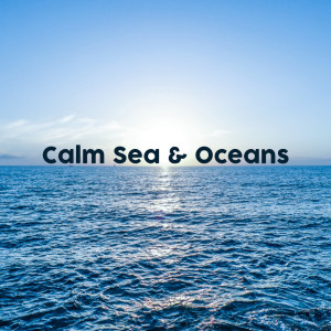 ดาวน์โหลดและฟังเพลง Ocean for Mindfulness พร้อมเนื้อเพลงจาก Ocean Waves for Sleep