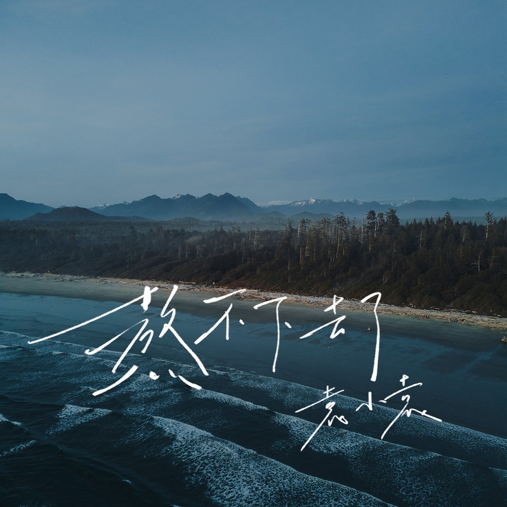 熬不下去了 (DJ版)